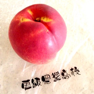 �ʕ�����
