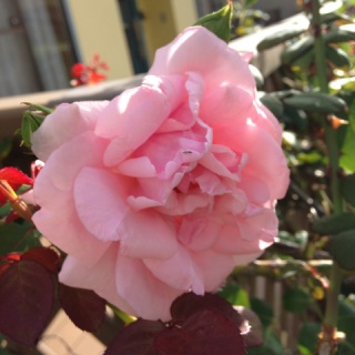 �H��