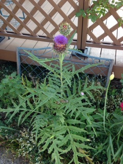 ���Ԃ�