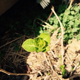 �t����