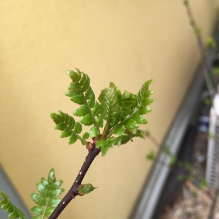 �R��