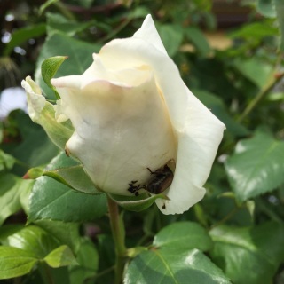 �n�i���O��
