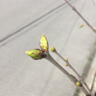 �V��