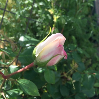 �V��