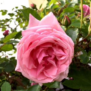 �d����