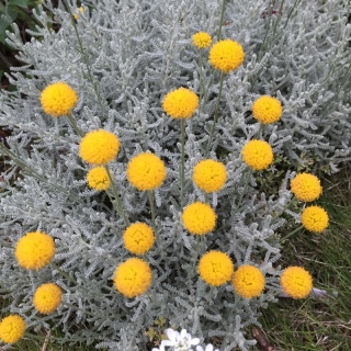 ����
