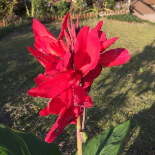 �J���i