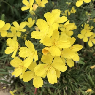 ���J