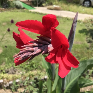 �J���i