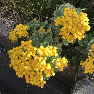 ��e